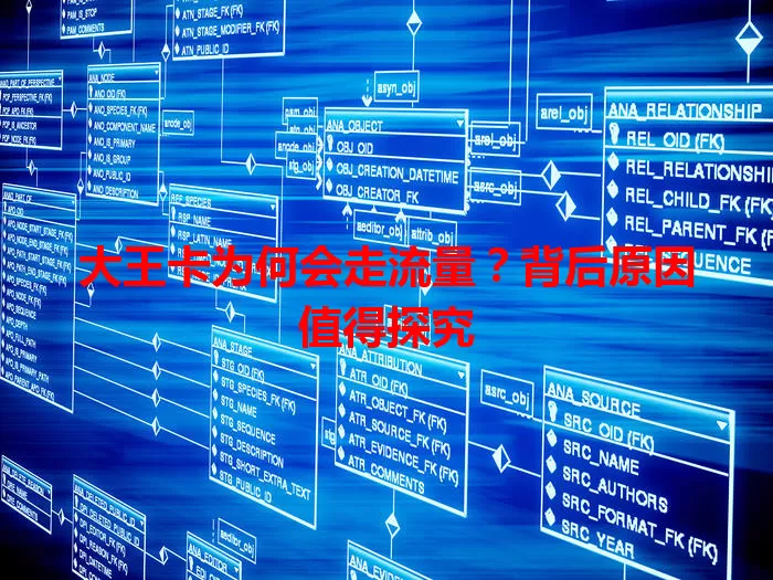 大王卡为何会走流量?背后原因值得探究
