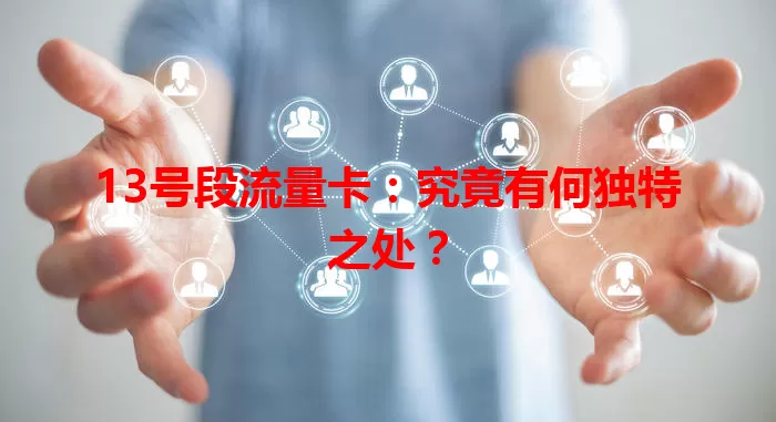 13号段流量卡:究竟有何独特之处?
