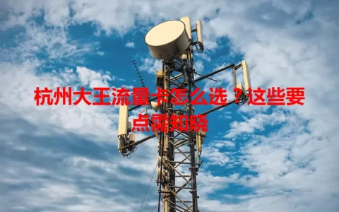 杭州大王流量卡怎么选？这些要点需知晓