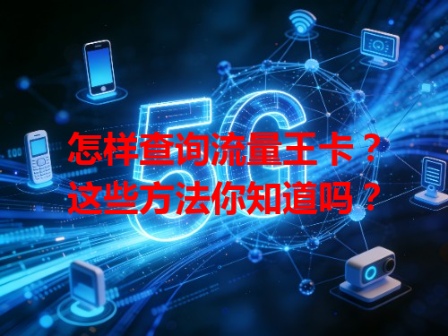 怎样查询流量王卡？这些方法你知道吗？