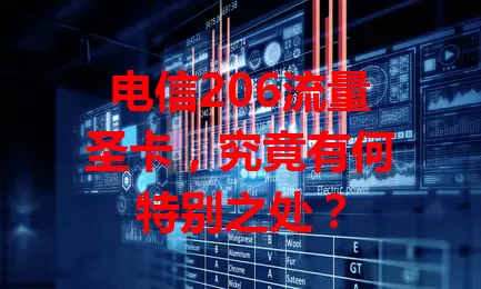 电信206流量圣卡,究竟有何特别之处?