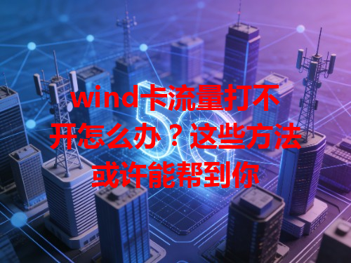 wind卡流量打不开怎么办？这些方法或许能帮到你