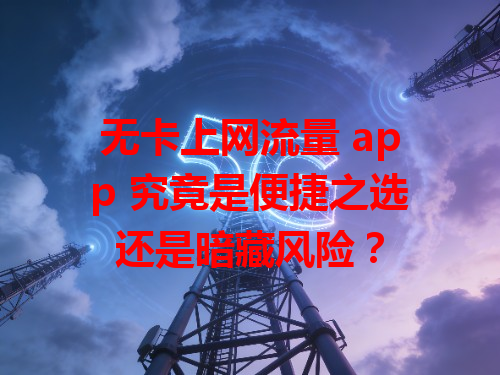无卡上网流量 app 究竟是便捷之选还是暗藏风险？