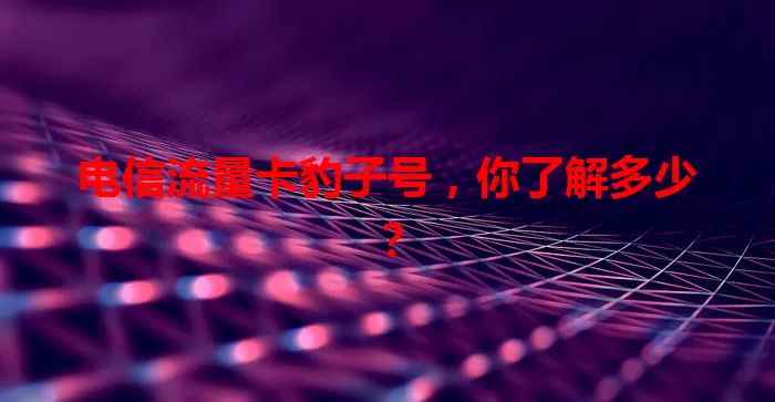 电信流量卡豹子号,你了解多少?