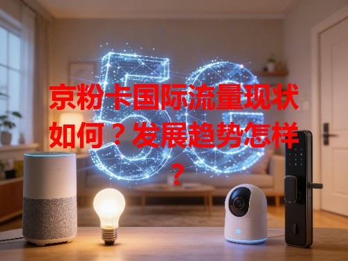 京粉卡国际流量现状如何？发展趋势怎样？