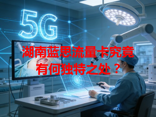 湖南蓝思流量卡究竟有何独特之处？