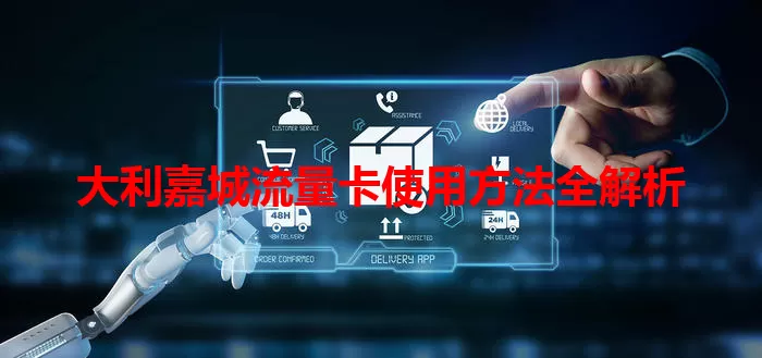大利嘉城流量卡使用方法全解析