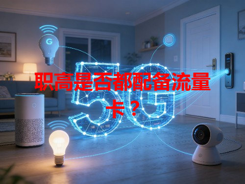 职高是否都配备流量卡？