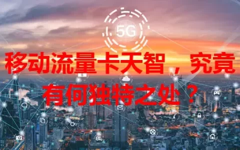 移动流量卡天智，究竟有何独特之处？
