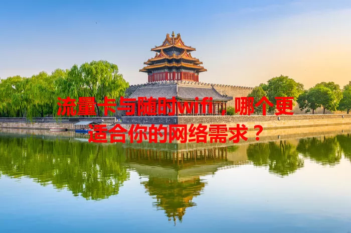 流量卡与随时wifi,哪个更适合你的网络需求?