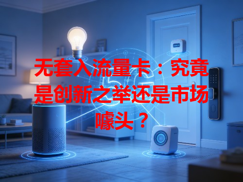 无套入流量卡：究竟是创新之举还是市场噱头？