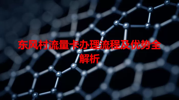 东风村流量卡办理流程及优势全解析