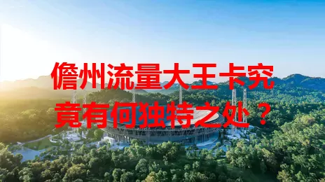 儋州流量大王卡究竟有何独特之处?