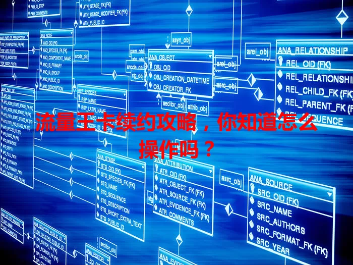 流量王卡续约攻略,你知道怎么操作吗?