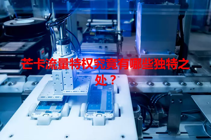 芒卡流量特权究竟有哪些独特之处?