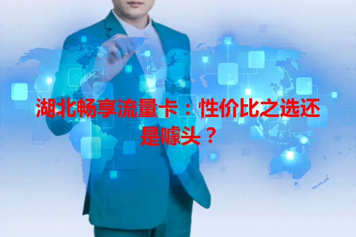 湖北畅享流量卡:性价比之选还是噱头?