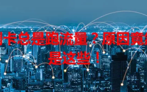 副卡总是跑流量？原因竟然是这些！