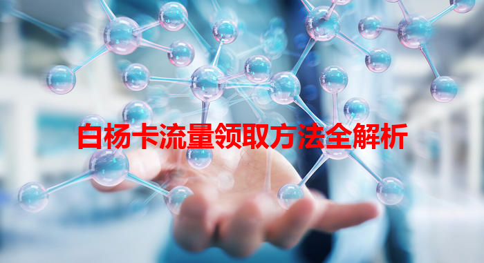 白杨卡流量领取方法全解析