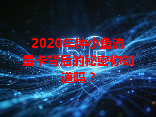 2020年钟小鱼流量卡背后的秘密你知道吗？