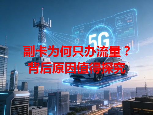 副卡为何只办流量？背后原因值得探究