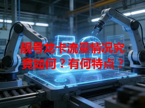 靓号龙卡流量情况究竟如何？有何特点？