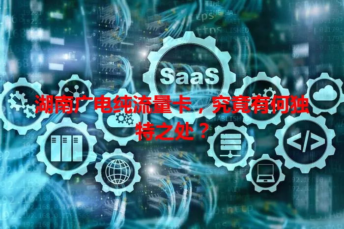 湖南广电纯流量卡,究竟有何独特之处?