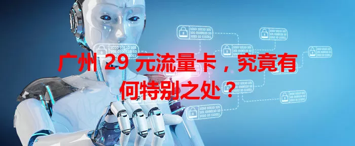 广州 29 元流量卡,究竟有何特别之处?
