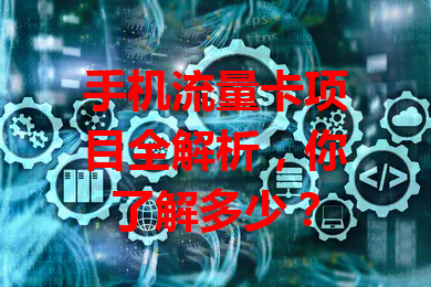 手机流量卡项目全解析，你了解多少？