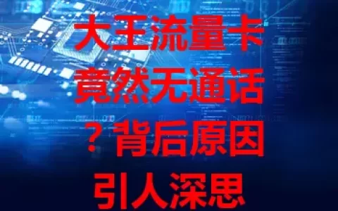 大王流量卡竟然无通话？背后原因引人深思