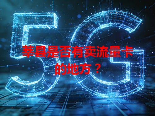 莘县是否有卖流量卡的地方？