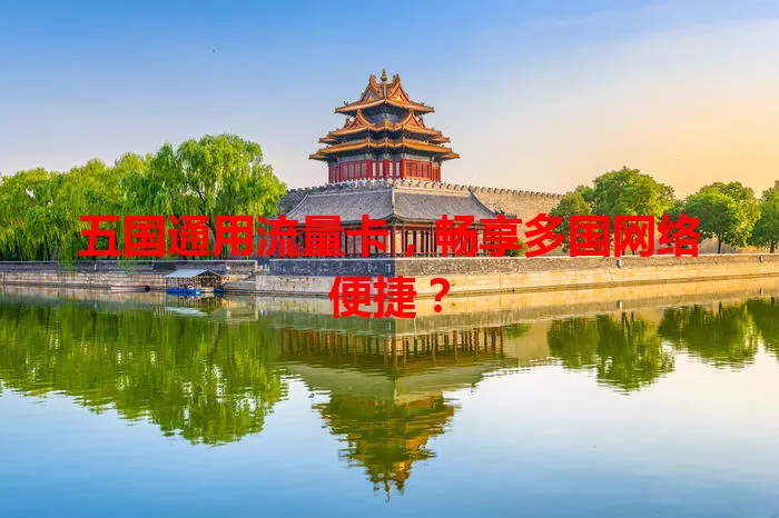 五国通用流量卡,畅享多国网络便捷?