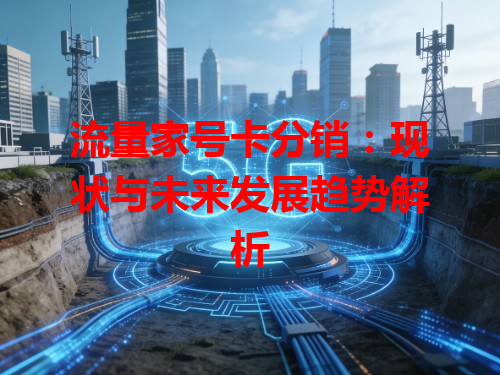 流量家号卡分销：现状与未来发展趋势解析