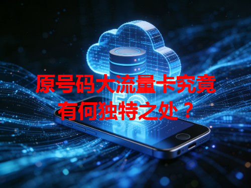 原号码大流量卡究竟有何独特之处？