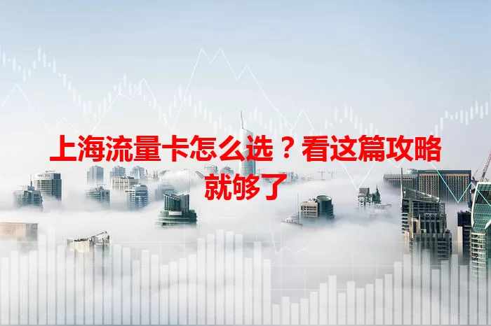 上海流量卡怎么选?看这篇攻略就够了