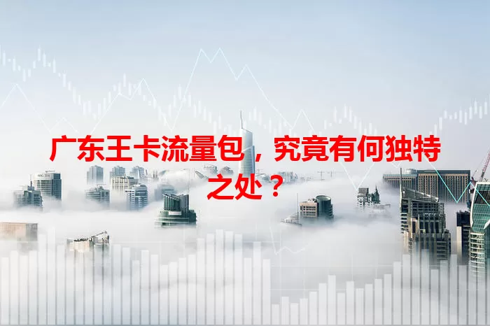 广东王卡流量包,究竟有何独特之处?