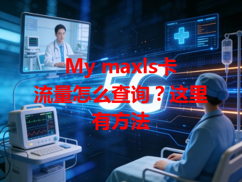 My maxls卡流量怎么查询？这里有方法