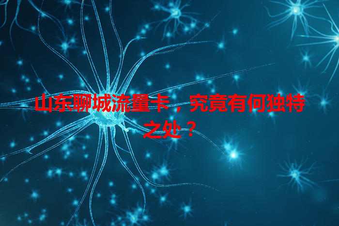 山东聊城流量卡，究竟有何独特之处？