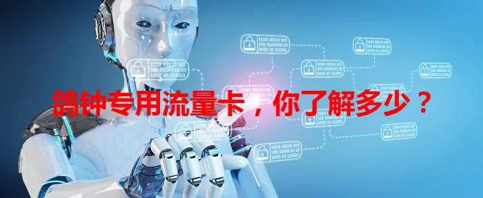 鸽钟专用流量卡,你了解多少?