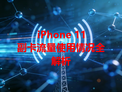 iPhone 11副卡流量使用情况全解析