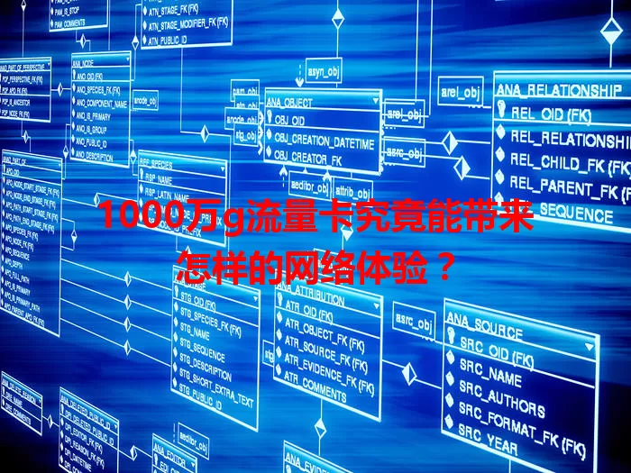 1000万g流量卡究竟能带来怎样的网络体验?