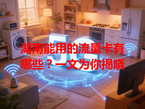 湖南能用的流量卡有哪些？一文为你揭晓