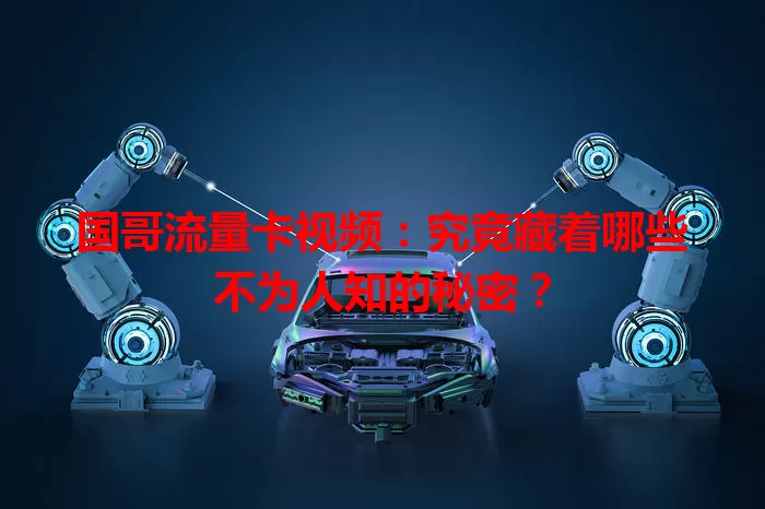国哥流量卡视频:究竟藏着哪些不为人知的秘密?