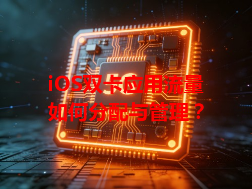 iOS双卡应用流量如何分配与管理？
