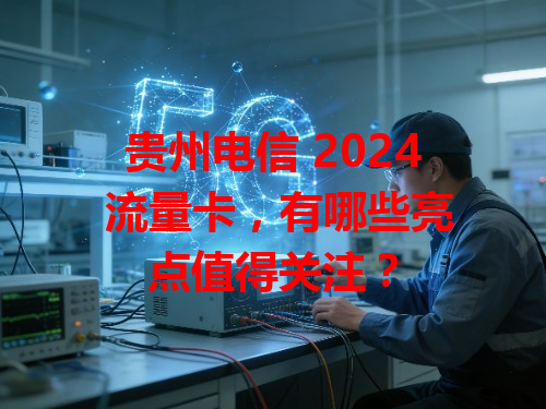 贵州电信 2024 流量卡，有哪些亮点值得关注？