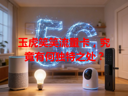 玉虎笑笑流量卡，究竟有何独特之处？