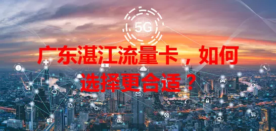 广东湛江流量卡,如何选择更合适?
