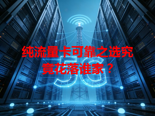 纯流量卡可靠之选究竟花落谁家？
