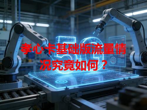 孝心卡基础版流量情况究竟如何？