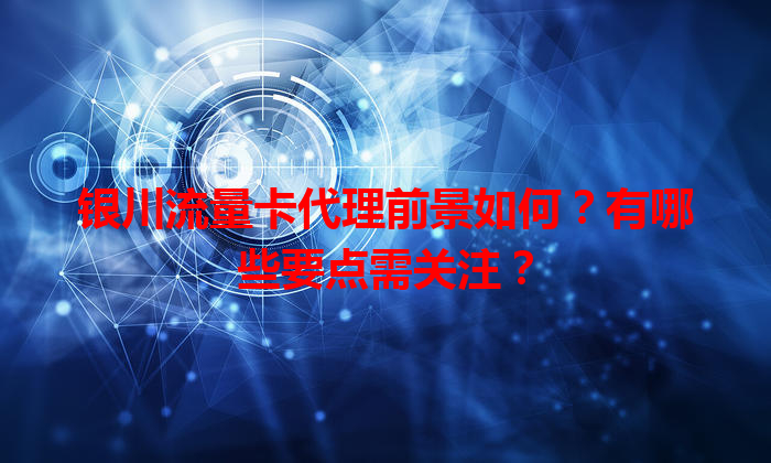 银川流量卡代理前景如何？有哪些要点需关注？