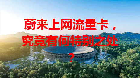 蔚来上网流量卡，究竟有何特别之处？